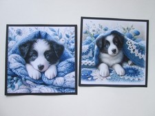 EXCLUSIVE - 2 x PEEPING BORDER