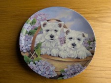 Royal Worcester - Westie Display Plate "Basket of Mischief" Used