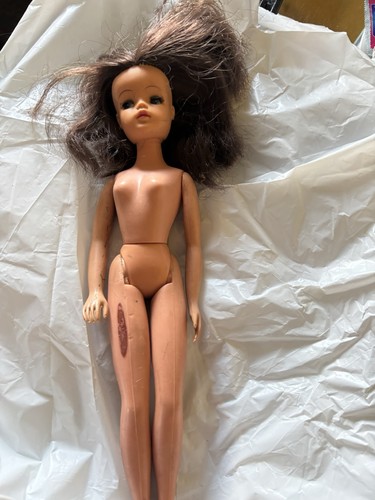 Vintage sindy doll - vintage,