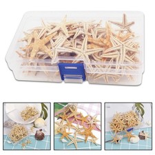 Small Natural Starfish for DIY