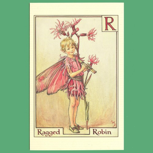 Postcard ragged robin fairy - -,