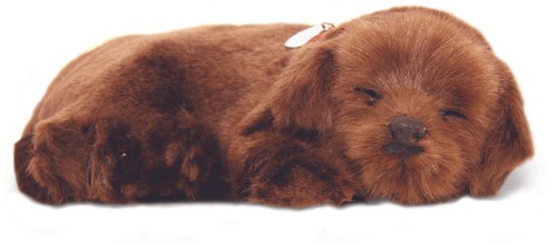 Precious petzzz breathing - precious,