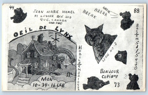 Cat ham radio ludger - radio,