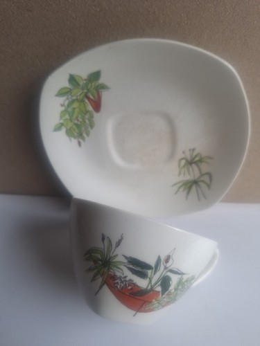 Midwinter plant life cup - plant, and