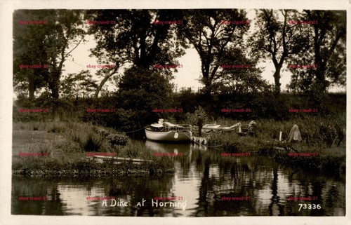 Dyke horning postcard - horning,