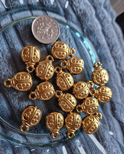 Gold tone ladybird stainless - tone,