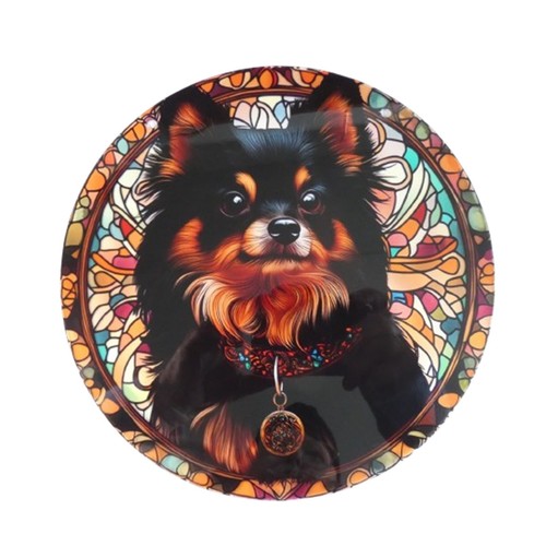 Brown black pomeranian - brown,