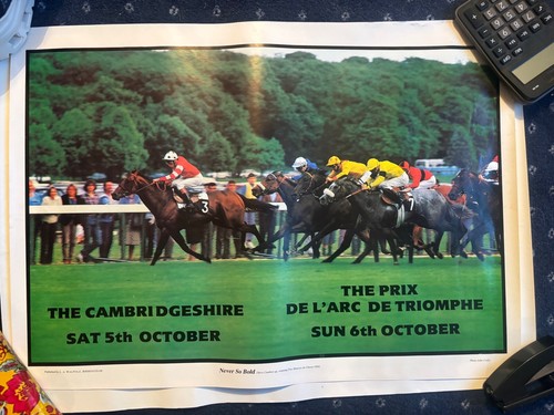 1980 horse racing - 1980's,