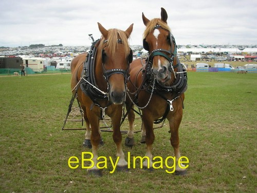 Photo 6x4 suffolk - 6x4,