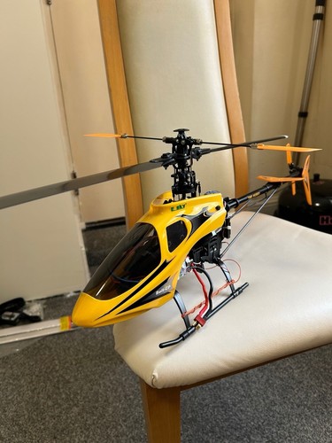 Esky belth honey bee - size, 450