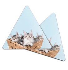 2x Triangle Coaster - Cute