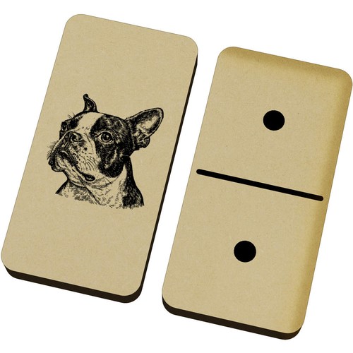 Boston terrier portrait - 'boston,