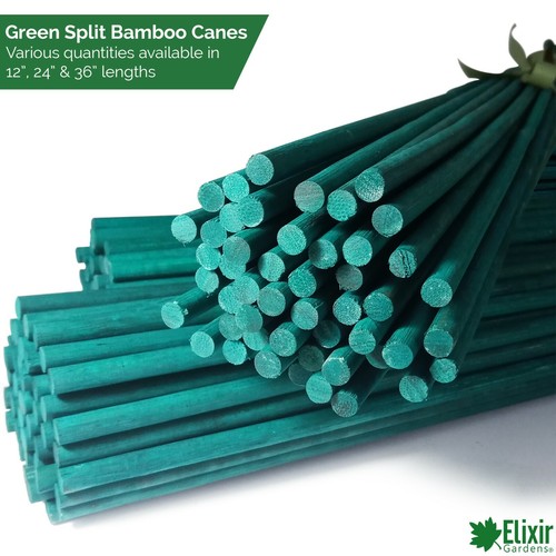 Green flower stick bamboo - green,