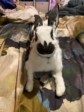 Softmount Fully Poseable