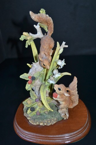 Leonardo collection nature - collection,