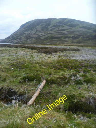 Photo 6x4 pole trap - photo,