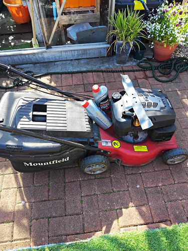 Mountfield petrol push - mountfield, rotary