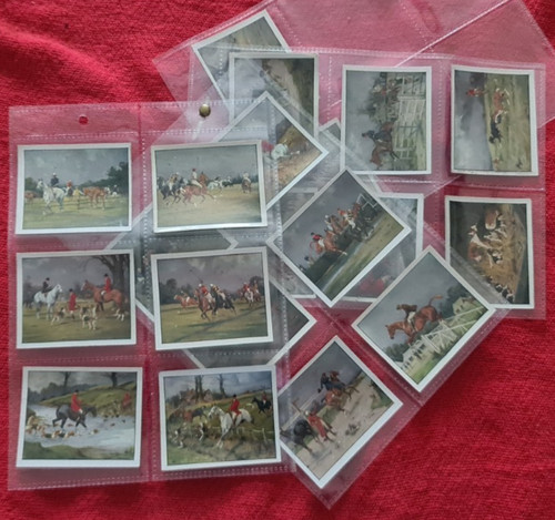 Horses and hounds turf - hounds,