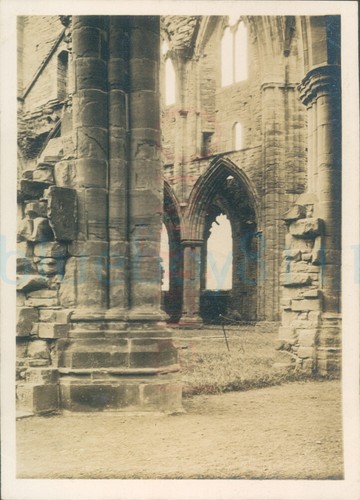 1920s original photo - original, tintern
