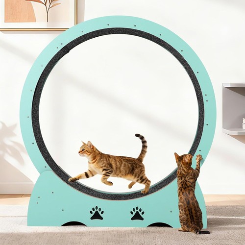 Wooden cat exercise wheel - exercise,