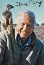 David Attenborough Hand Signed 6x4 Inch Photo