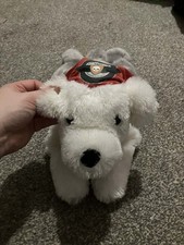 Harley davidson biker dog - davidson,