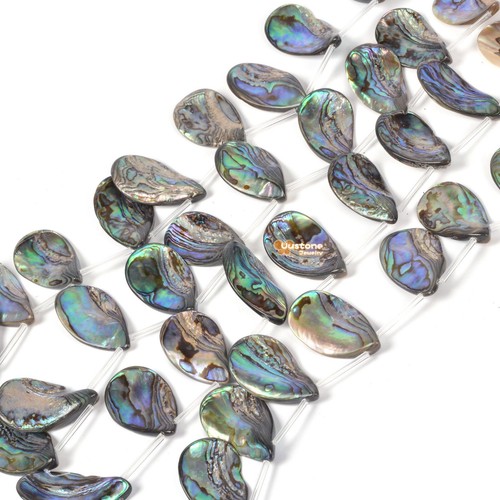 Natural abalone shell 30mm - shell,