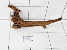 Aquarium Natural Wood