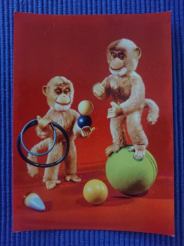 Old postcard monkeys - old,