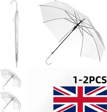 Large Clear See Through Dome