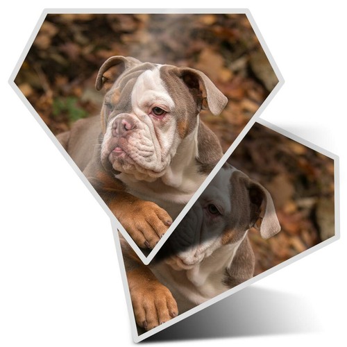 Diamond stickers - diamond,
