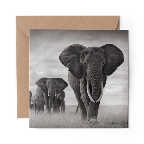 Blank greeting card - 1, x
