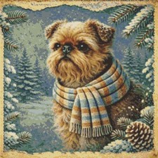 Griffon Bruxellois Puppy Dog