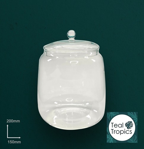 Clear terrarium glass - terrarium, jar