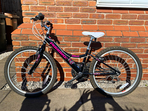 Probike diva girls 12in - diva, frame