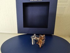 SWAROVSKI SCS 2021 MEMBERS