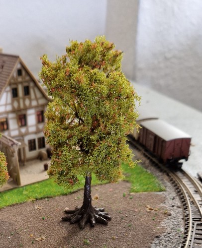 Chestnut tree 10 - a, chestnut,