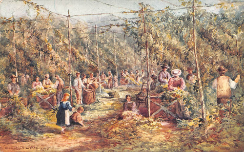 Postcard kent hop - ,