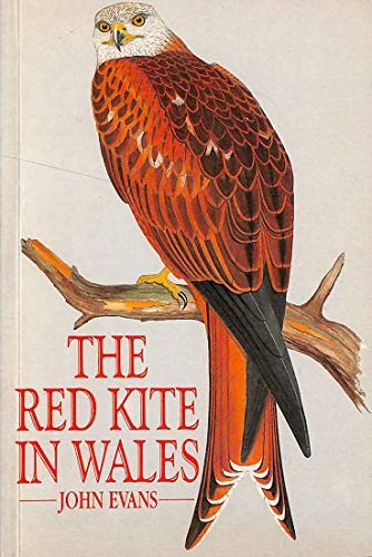 The red kite - kite, in