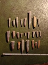 Fossil Belemnites, Jurassic, UK, Geology Teaching Aid.
