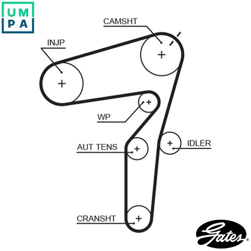 Timing belt 5623xs for - belt,