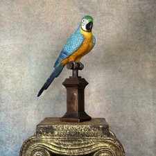 38cm Blue & Yellow Parrot on