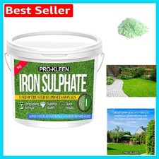 Professional Grade 1 KG Iron