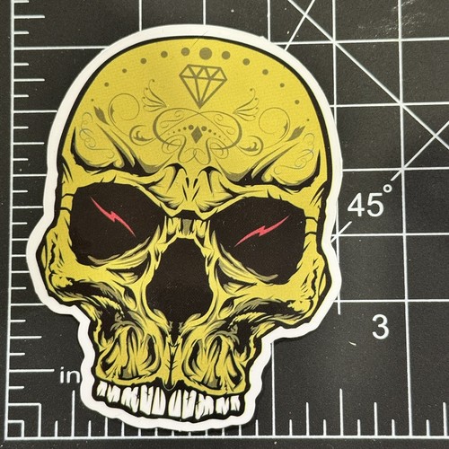 Skull day the - skull, dead