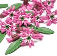 Pretty charms Ragged Robin