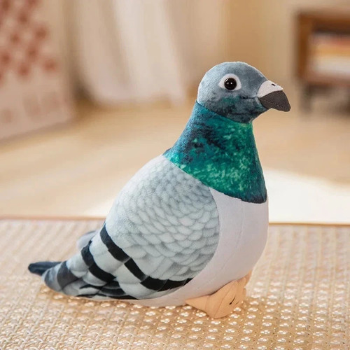 Simulation pigeon bird - simulation,