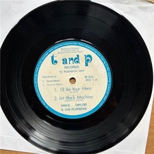 VINCE TAYLOR AND HIS PLAYBOYS