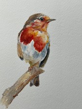 WATERCOLOUR PAINTING: ORIGINAL SIGNED BIRD/WILDLIFE PAINTING: ROBIN