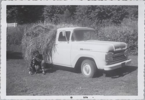 1950s ford pickup - pickup, truck