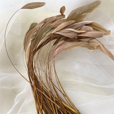 Stripped Coque Feather
